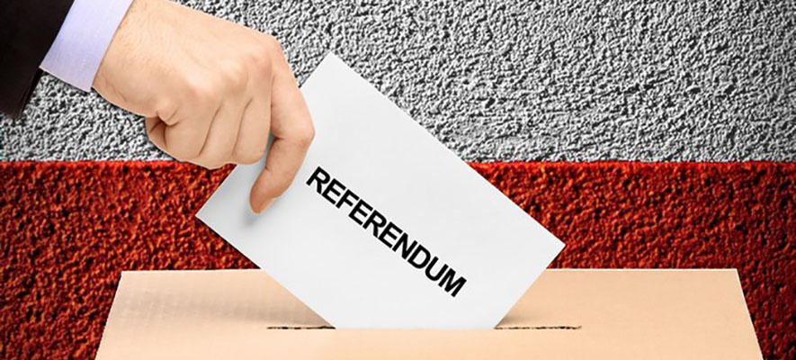 referendum immagine